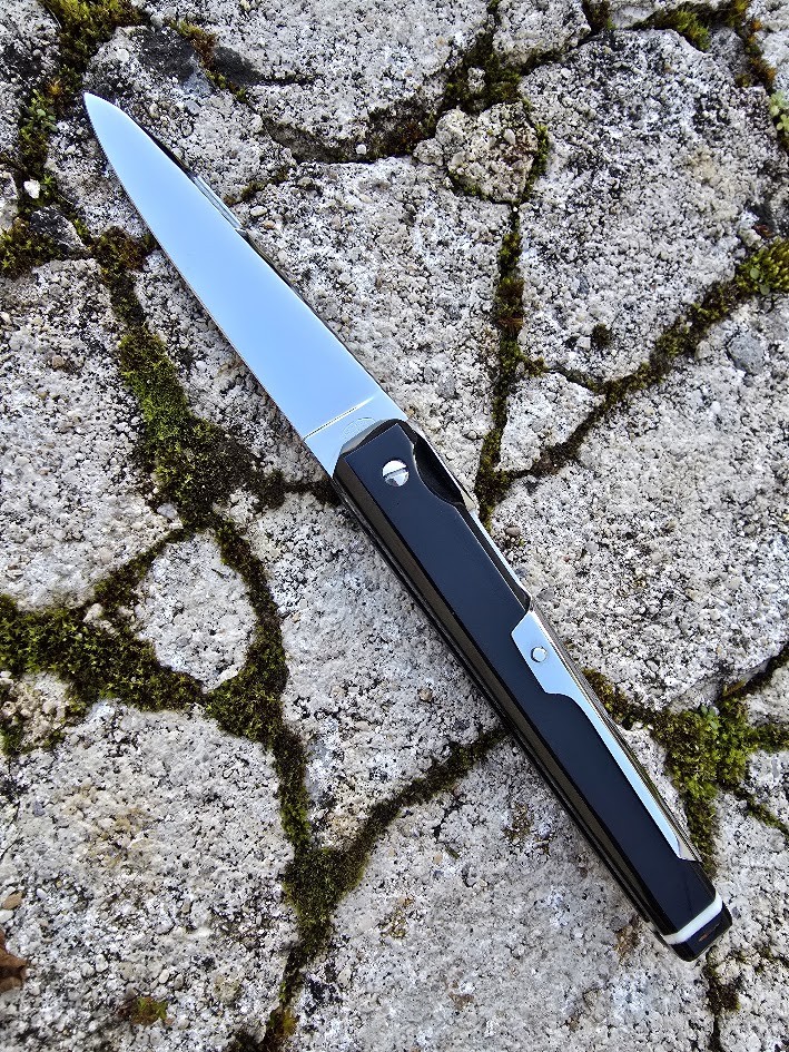 FACETTE MOUCHE 10cm EN...