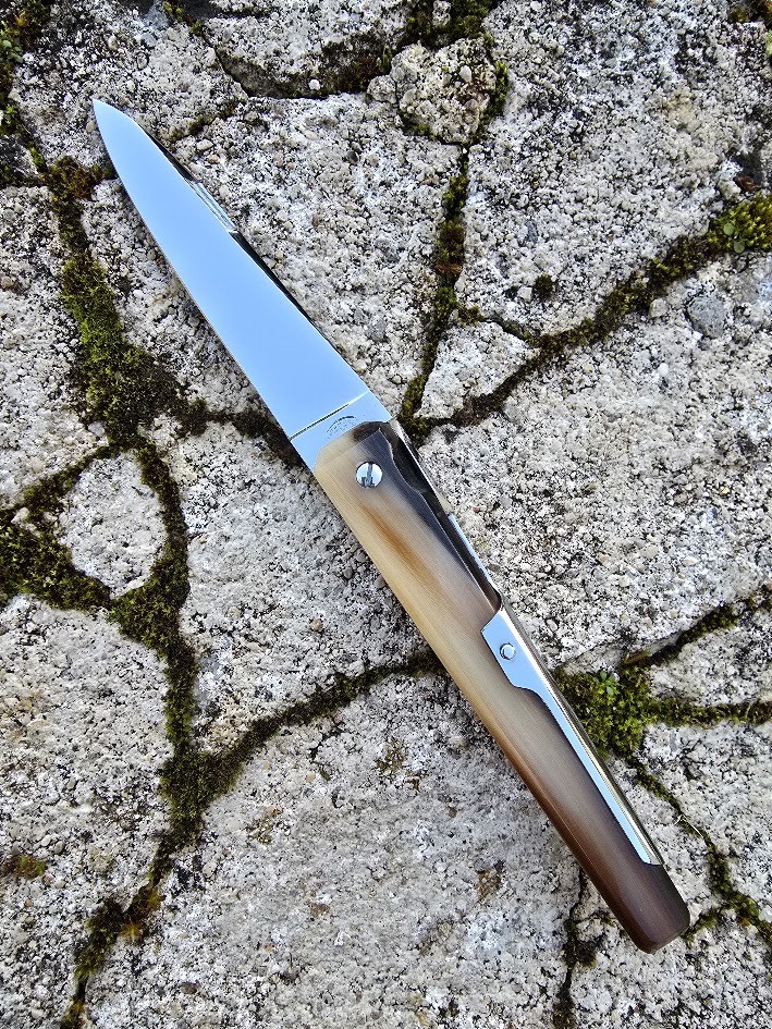 FACETTE MOUCHE 10cm EN...
